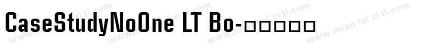 CaseStudyNoOne LT Bo字体转换